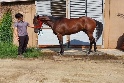 ���׷��̽� ����