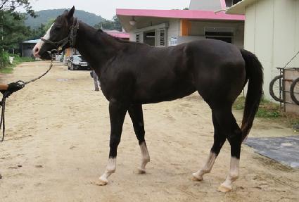 ����Ǯ��� ����