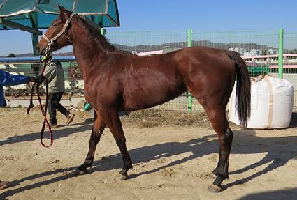 ���Ÿ����� ����