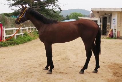 ������Ʈ���� ����