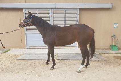 ����Ǯ�Ϲٳ� ����