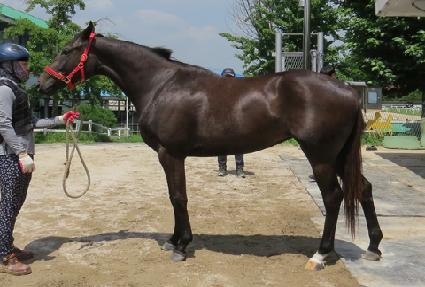 �������� ����