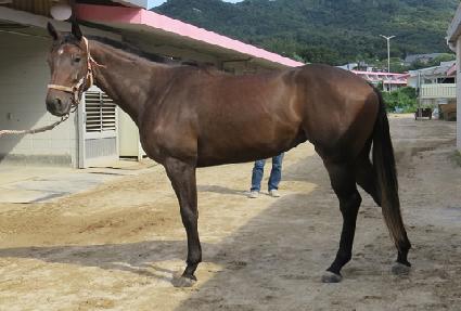 �ε���� ����