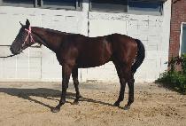 û�����̺� (CHEONGDAM DRIVE) ����