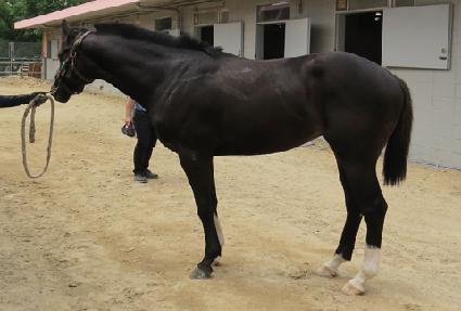 ��ī�̸� ����