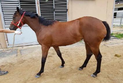 �����ũ ����