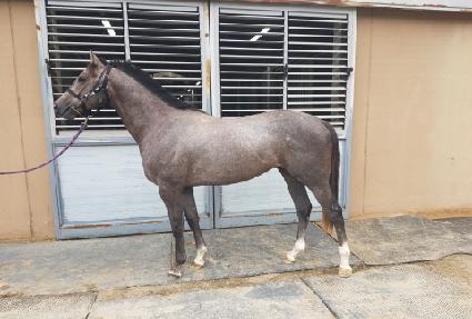 �丣���м� ����