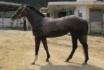 �ٽõμ� ����