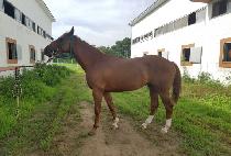 ������� (MOVIE BROTHER) ����