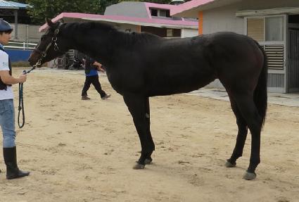 û���ö��� ����