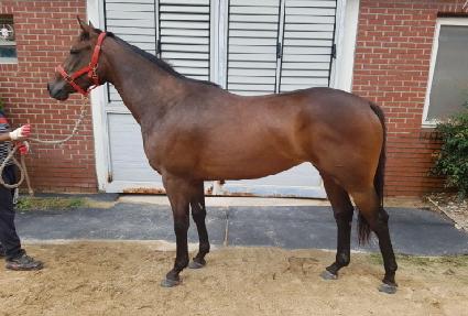 ��ٸ���� ����