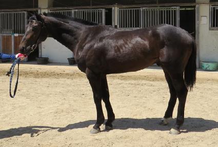 ����Ʈ��Ű ����