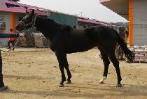 ABOUT SOMETHING picture