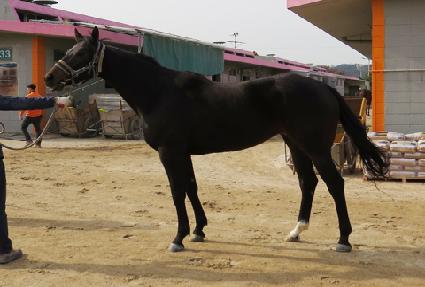 ��ٿ����� ����