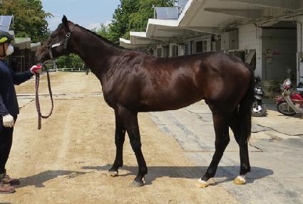 ���������� ����