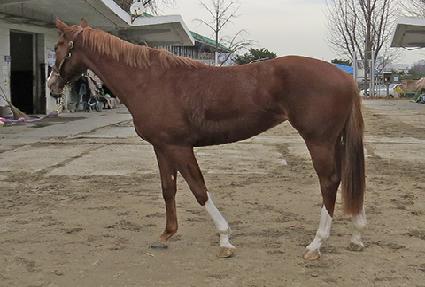 ������帱 ����