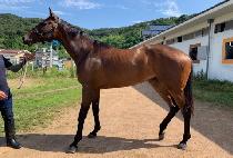 ���ڽ� (ECHO SEA) ����