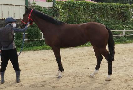 ������¯ ����