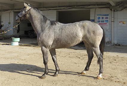 ��ǳ�鱤 ����