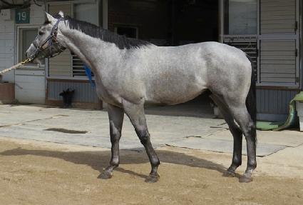 ������ī ����