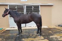 NORTHERN LIGHTS picture