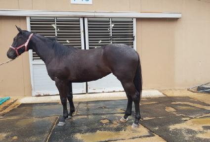 ��������� ����