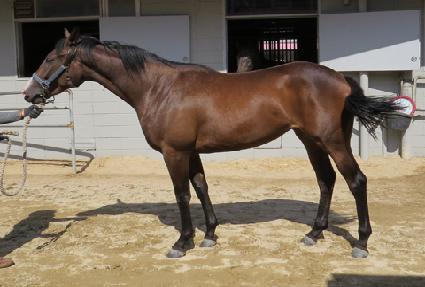 �ǹ��� ����