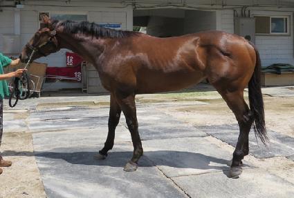 ���� ����