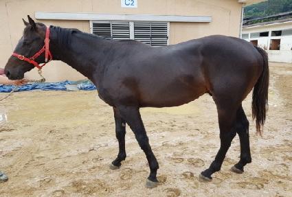 ���η����� ����