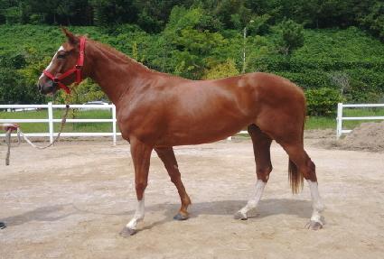 �Ӵ��÷��� ����