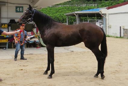 ť�ǵ��� ����