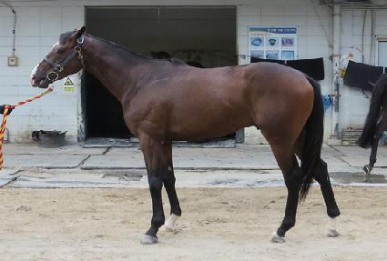 �̽�Ʈè�� ����