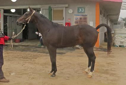 ��Ű���� ����