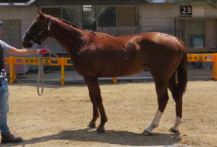 ����Ǯ���̵� ����