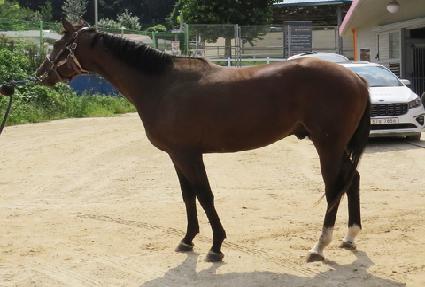 ���ǽ�ȭ ����