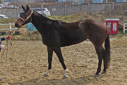 �����游 ����