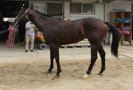 ���丮���ũ ����