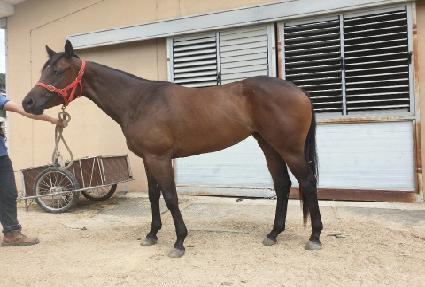 ����ç���� ����