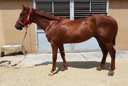 �ְ����� ����