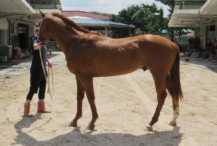 �븶�籸 ����