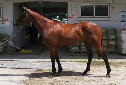 �Ⱦ�ȣ���� ����