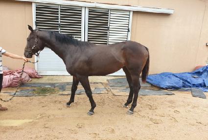 ���ѿ��� ����