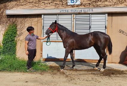 ���ʷ��� ����