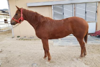 ���ξ��Ϸ��� ����