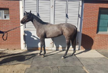 ���ָ��� ����