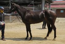 �������� (JOEUN NEUKKIM) ����