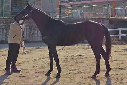 Ŭ������ ����