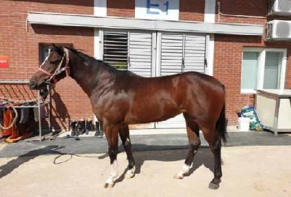 �������� ����