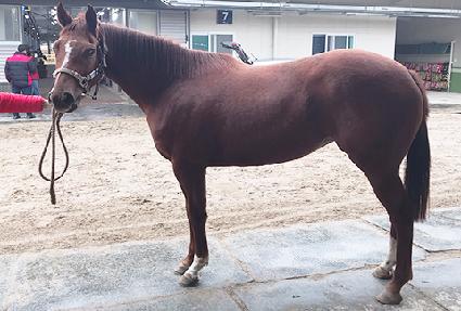 �ݰ��� ����