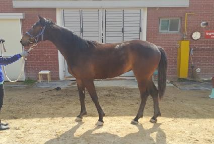 ���ڼ� ����